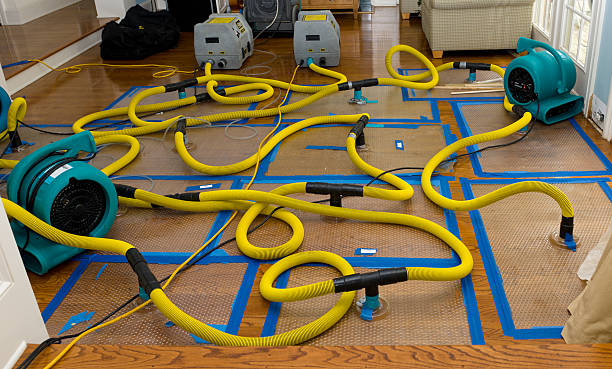 Professional Crawl Space Water Removal technician working in Madison, SD